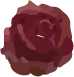 rosa 1.png